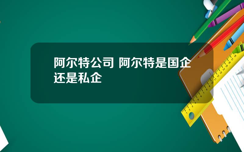 阿尔特公司 阿尔特是国企还是私企